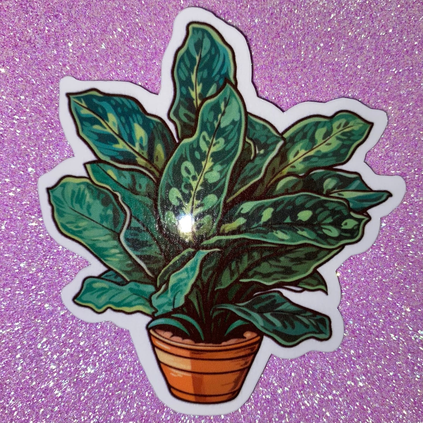 Dumb Cane Plant