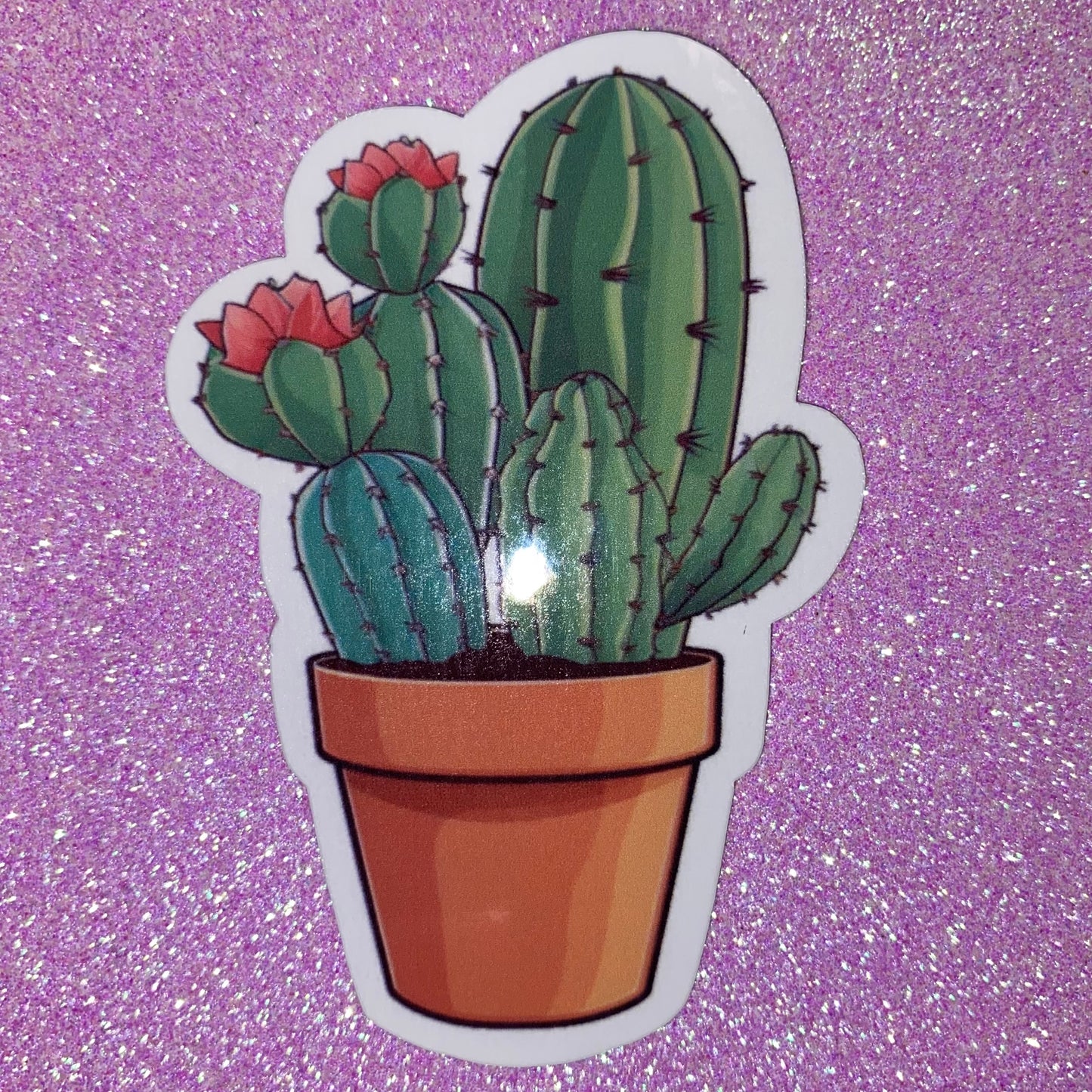 Cactus