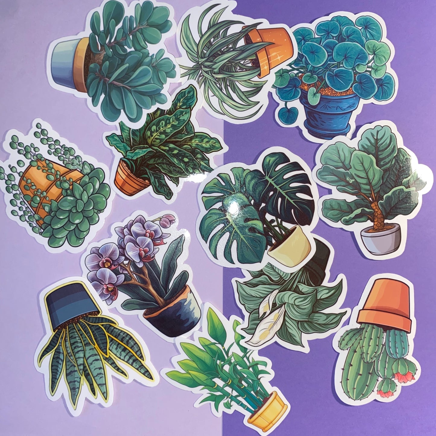 Houseplants Sticker Bundles