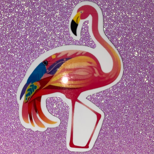 Flamingo