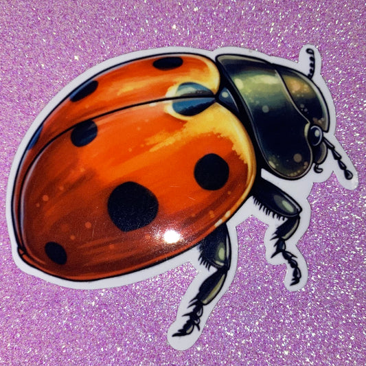 Ladybug #1