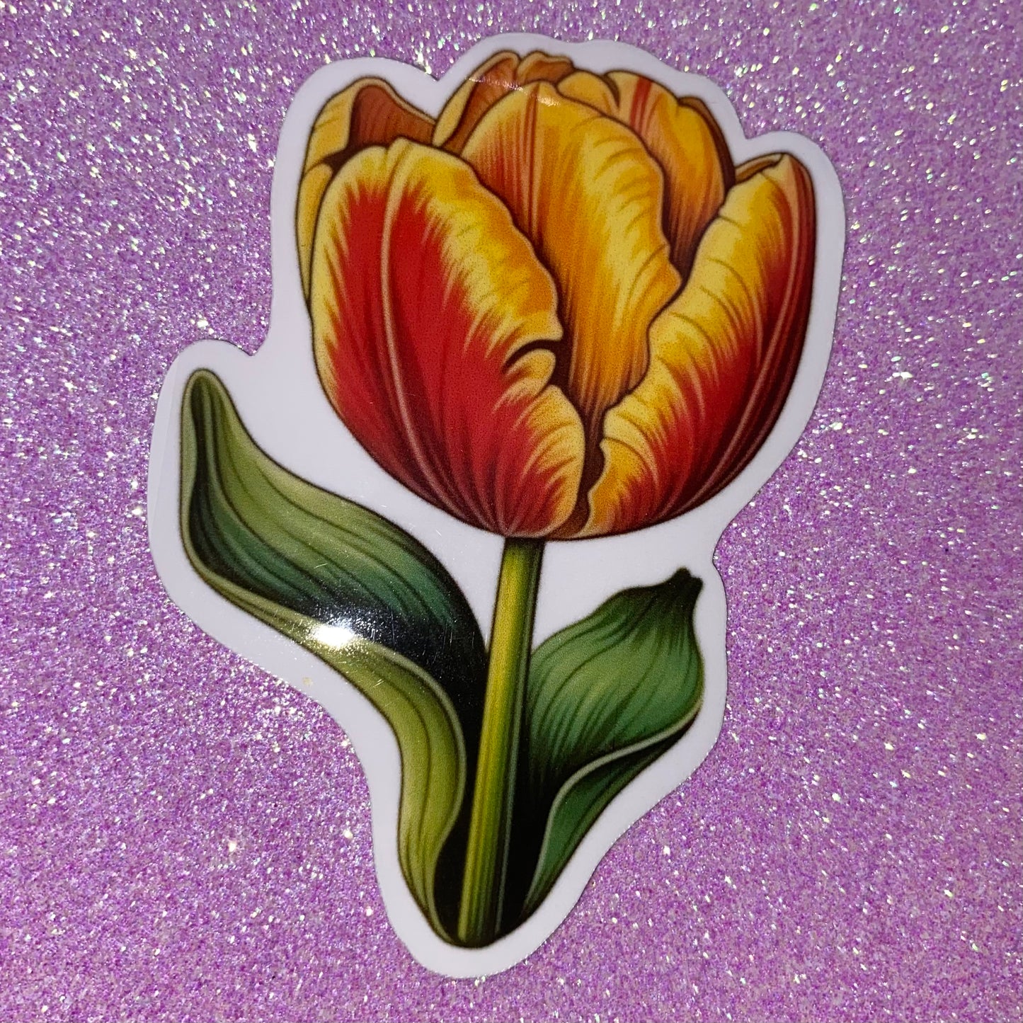 Tulip